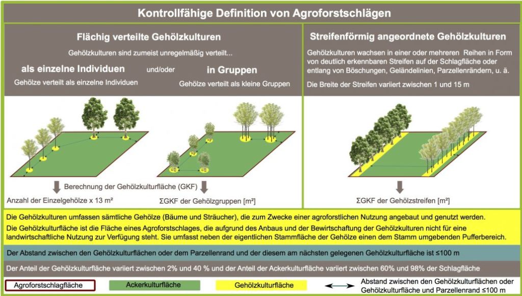 daniel-schlegel-Agroforst-2-1024x581-1-eng