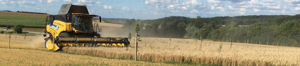 daniel-schlegel-biohof-textor-walnussbaeume-ueber-triebwerk-1024x228-1-eng