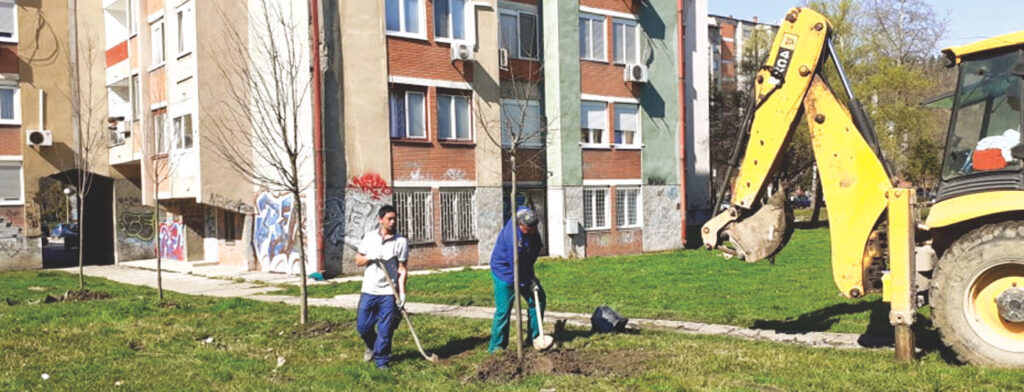 202012_Planting activities_Fundacion Natura