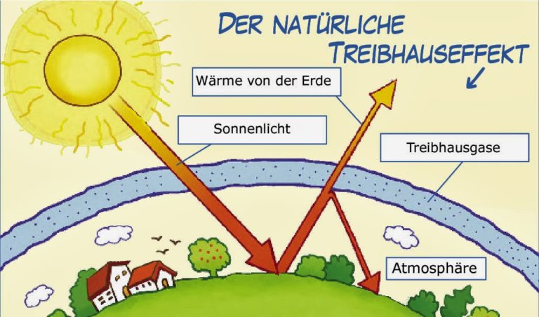daniel-schlegel-111-768x452