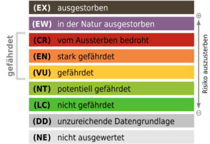 daniel-schlegel-IUCN_Kategorien_Rote_Liste.svg-300x206