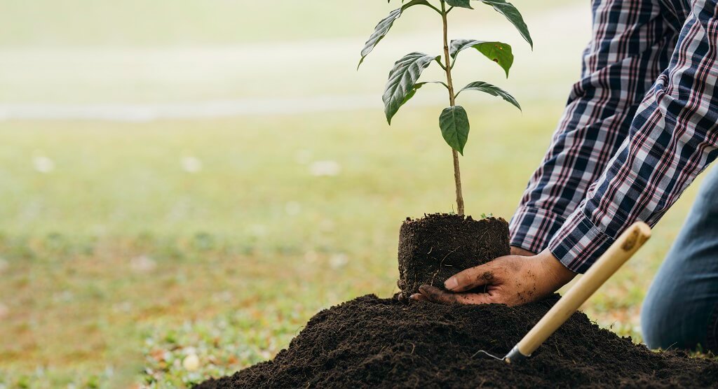 daniel-schlegel-umweltstiftung-projekte-andere-projekte
