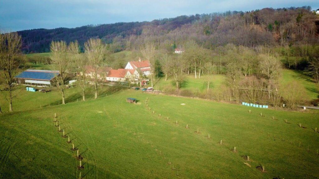 daniel-schlegel-umweltstiftung-projekte-klimapflanzaktion-bei-haus-huelshoff-1