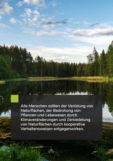 danielschlegelumweltstiftung-alle-menschen