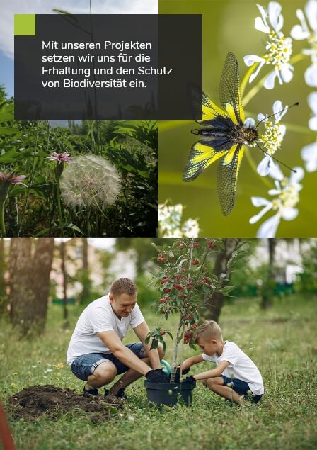 danielschlegelumweltstiftung-mit-unseren-projekten