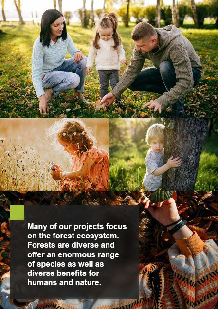 danielschlegelumweltstiftung-bei-vielen-eng