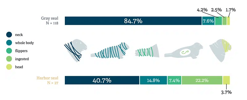 © Oceans 2022: Verhedderungen und deren Häufigkeit, aufgeteilt nach Körperstellen, getrennt nach Arten