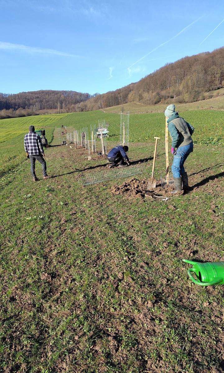daniel-schlegel-umweltstiftung-projekte-agroforst-1